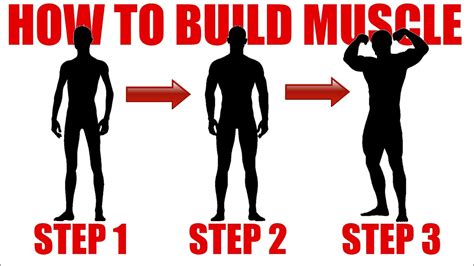 How To Go From Skinny To Muscular: Step By Step .